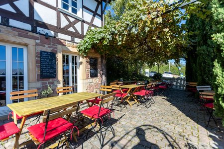 Caveau Weinstube in Gleiszellen-Gleishorbach - der Außenbereich Biergarten - Weingarten